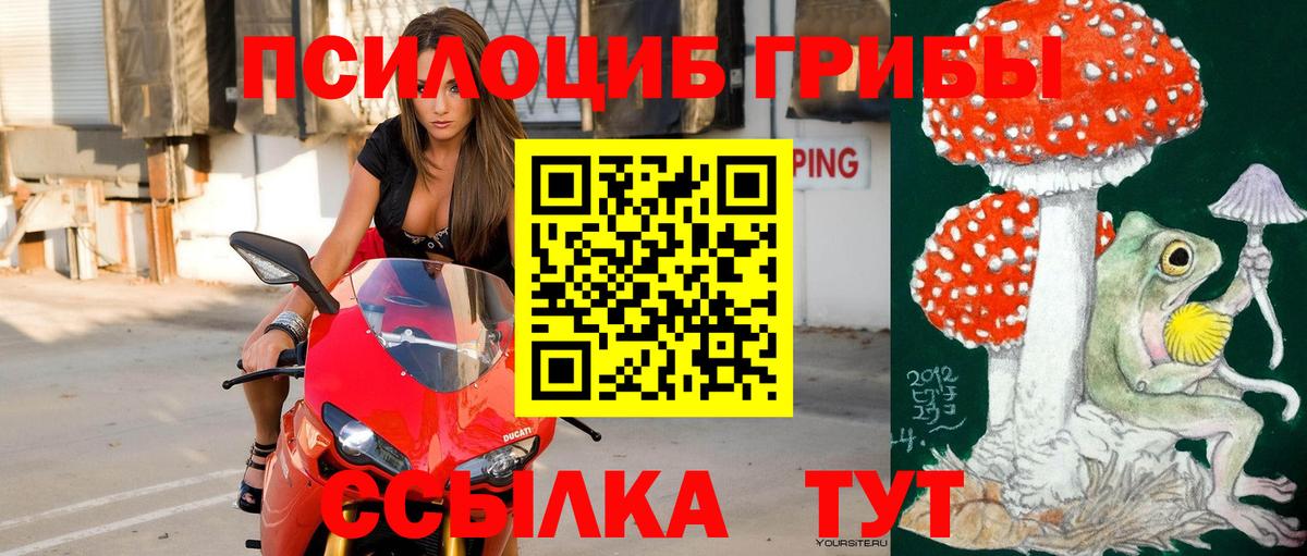 Псилоцибиновые грибы мицелий  купить наркоту  Вход с VPN  Ликино-Дулёво  Галлюциногенные грибы GOLDEN TEACHER 